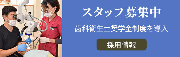 スタッフ募集中